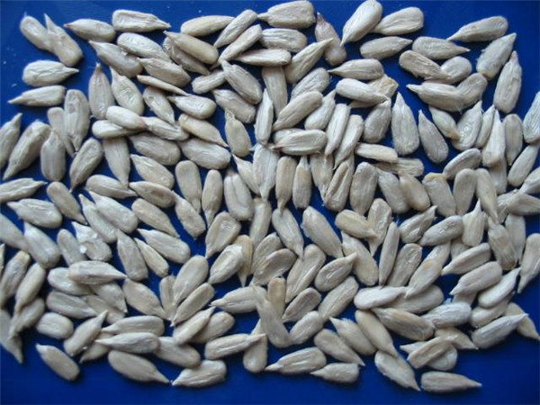 12 葵瓜籽 sunflower kernels.jpg