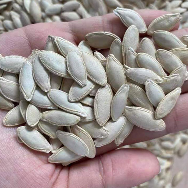 Pumpkin Seeds